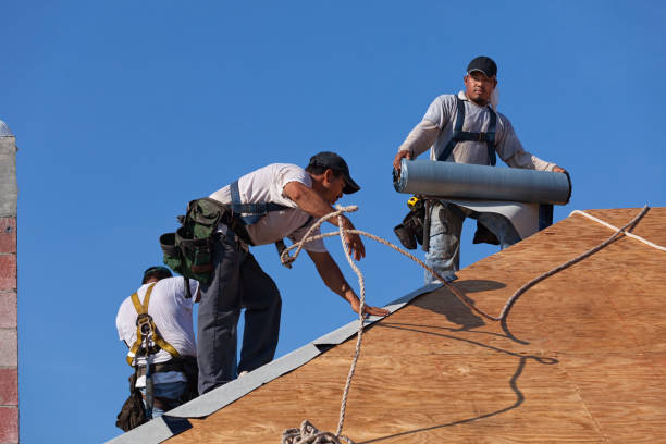 Best Best Roofing Contractors  in Richton, MS