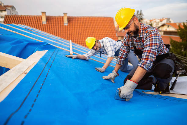 Best Shingle Roofing Installation  in Richton, MS