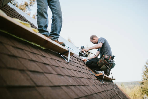 Best New Roof Installation  in Richton, MS